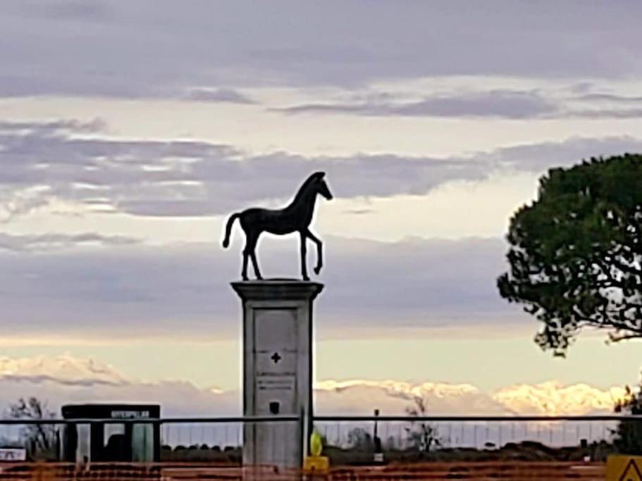 Appartamento Con Vista A Cavallino Venezia Exterior foto